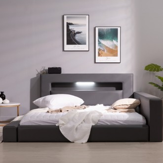 (착불)버드저상형침대가드형(퀸)(일반형/LED형)