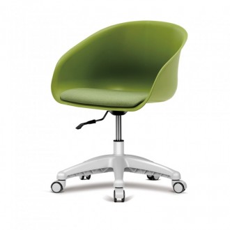 로이회전의자(패드포함)